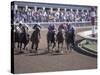 Thoroughbred Horse Racing at Keenland track, Lexington, Kentucky, USA-Adam Jones-Stretched Canvas