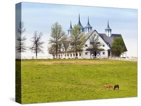 Thoroughbred Horses Grazing, Manchester Horse Farm, Lexington, Kentucky, Usa-Adam Jones-Stretched Canvas