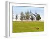 Thoroughbred Horses Grazing, Manchester Horse Farm, Lexington, Kentucky, Usa-Adam Jones-Framed Premium Photographic Print