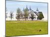 Thoroughbred Horses Grazing, Manchester Horse Farm, Lexington, Kentucky, Usa-Adam Jones-Mounted Premium Photographic Print