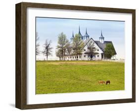 Thoroughbred Horses Grazing, Manchester Horse Farm, Lexington, Kentucky, Usa-Adam Jones-Framed Photographic Print