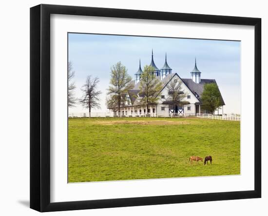 Thoroughbred Horses Grazing, Manchester Horse Farm, Lexington, Kentucky, Usa-Adam Jones-Framed Photographic Print