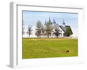 Thoroughbred Horses Grazing, Manchester Horse Farm, Lexington, Kentucky, Usa-Adam Jones-Framed Photographic Print