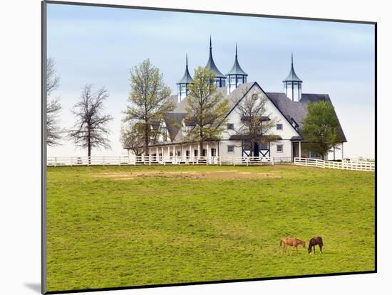 Thoroughbred Horses Grazing, Manchester Horse Farm, Lexington, Kentucky, Usa-Adam Jones-Mounted Photographic Print