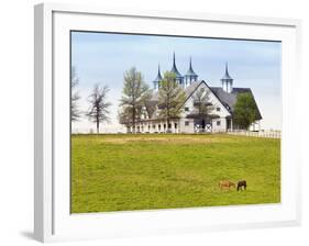 Thoroughbred Horses Grazing, Manchester Horse Farm, Lexington, Kentucky, Usa-Adam Jones-Framed Photographic Print