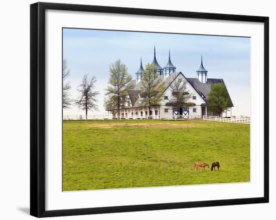 Thoroughbred Horses Grazing, Manchester Horse Farm, Lexington, Kentucky, Usa-Adam Jones-Framed Photographic Print