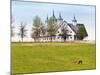 Thoroughbred Horses Grazing, Manchester Horse Farm, Lexington, Kentucky, Usa-Adam Jones-Mounted Photographic Print