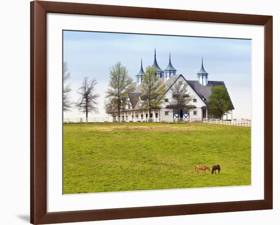 Thoroughbred Horses Grazing, Manchester Horse Farm, Lexington, Kentucky, Usa-Adam Jones-Framed Photographic Print