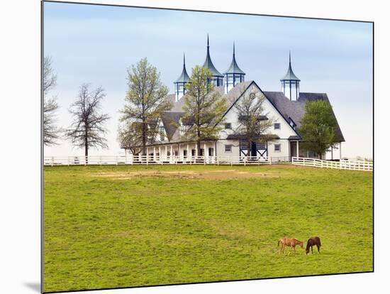 Thoroughbred Horses Grazing, Manchester Horse Farm, Lexington, Kentucky, Usa-Adam Jones-Mounted Photographic Print