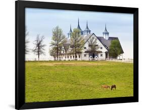 Thoroughbred Horses Grazing, Manchester Horse Farm, Lexington, Kentucky, Usa-Adam Jones-Framed Photographic Print