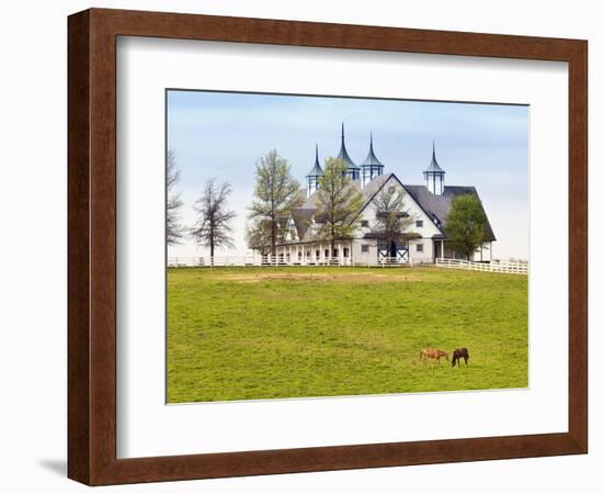 Thoroughbred Horses Grazing, Manchester Horse Farm, Lexington, Kentucky, Usa-Adam Jones-Framed Photographic Print