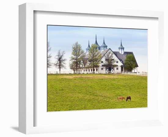 Thoroughbred Horses Grazing, Manchester Horse Farm, Lexington, Kentucky, Usa-Adam Jones-Framed Photographic Print