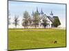 Thoroughbred Horses Grazing, Manchester Horse Farm, Lexington, Kentucky, Usa-Adam Jones-Mounted Photographic Print