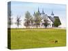 Thoroughbred Horses Grazing, Manchester Horse Farm, Lexington, Kentucky, Usa-Adam Jones-Stretched Canvas