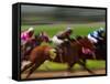 Thoroughbred Horses Racing at Keeneland Race Track, Lexington, Kentucky, USA-Adam Jones-Framed Stretched Canvas