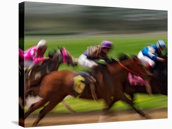 Thoroughbred Horses Racing at Keeneland Race Track, Lexington, Kentucky, USA-Adam Jones-Stretched Canvas