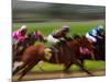 Thoroughbred Horses Racing at Keeneland Race Track, Lexington, Kentucky, USA-Adam Jones-Mounted Photographic Print