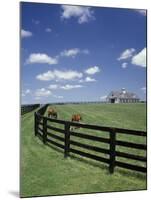 Thoroughbred in the Countryside, Kentucky, USA-Michele Molinari-Mounted Premium Photographic Print