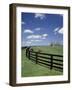 Thoroughbred in the Countryside, Kentucky, USA-Michele Molinari-Framed Photographic Print