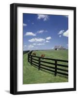 Thoroughbred in the Countryside, Kentucky, USA-Michele Molinari-Framed Photographic Print