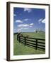 Thoroughbred in the Countryside, Kentucky, USA-Michele Molinari-Framed Photographic Print