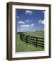 Thoroughbred in the Countryside, Kentucky, USA-Michele Molinari-Framed Photographic Print