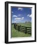 Thoroughbred in the Countryside, Kentucky, USA-Michele Molinari-Framed Photographic Print