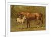 Thoroughbred Mare and Foal-Samuel Sidney-Framed Premium Giclee Print