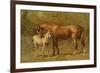 Thoroughbred Mare and Foal-Samuel Sidney-Framed Premium Giclee Print