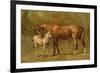 Thoroughbred Mare and Foal-Samuel Sidney-Framed Premium Giclee Print