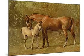 Thoroughbred Mare and Foal-Samuel Sidney-Mounted Premium Giclee Print