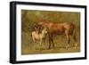 Thoroughbred Mare and Foal-Samuel Sidney-Framed Art Print