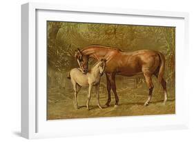 Thoroughbred Mare and Foal-Samuel Sidney-Framed Art Print