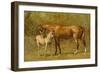 Thoroughbred Mare and Foal-Samuel Sidney-Framed Art Print