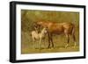 Thoroughbred Mare and Foal-Samuel Sidney-Framed Art Print