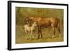 Thoroughbred Mare and Foal-Samuel Sidney-Framed Art Print