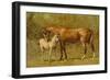 Thoroughbred Mare and Foal-Samuel Sidney-Framed Premium Giclee Print