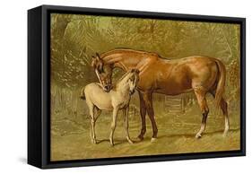 Thoroughbred Mare and Foal-Samuel Sidney-Framed Stretched Canvas