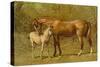 Thoroughbred Mare and Foal-Samuel Sidney-Stretched Canvas