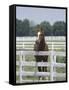 Thoroughbred Race Horse, Kentucky Horse Park, Lexington, Kentucky, USA-Adam Jones-Framed Stretched Canvas