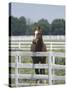 Thoroughbred Race Horse, Kentucky Horse Park, Lexington, Kentucky, USA-Adam Jones-Stretched Canvas