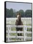 Thoroughbred Race Horse, Kentucky Horse Park, Lexington, Kentucky, USA-Adam Jones-Framed Stretched Canvas