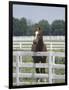 Thoroughbred Race Horse, Kentucky Horse Park, Lexington, Kentucky, USA-Adam Jones-Framed Photographic Print