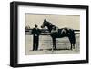 Thoroughbred racehorse, Man O' War, c1920-Unknown-Framed Photographic Print