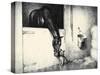 Thoroughbreds; And Their Mascots-C.W. Anderson-Stretched Canvas