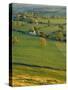 Thorpe Cloud, Dovedale, Peak District National Park, Derbyshire, England, UK-Charles Bowman-Stretched Canvas