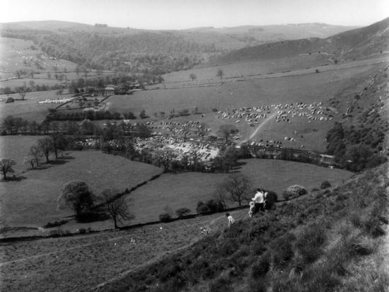 Photographic Print, , large