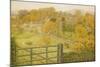 Thorpe, Derbyshire, 1880 (W/C on Paper)-George Price Boyce-Mounted Giclee Print