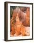 Thors Hammer, Bryce Canyon National Park, Utah, USA-Jamie & Judy Wild-Framed Photographic Print