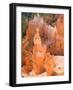 Thors Hammer, Bryce Canyon National Park, Utah, USA-Jamie & Judy Wild-Framed Photographic Print